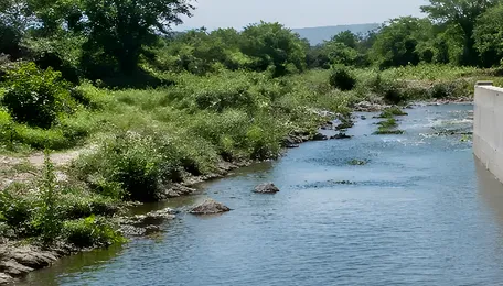 Government of Maharashtra issues tender for flank wall repair at KT Weir, Navapur