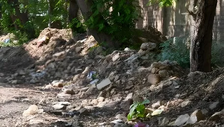 Gurugram Road Sweeping Tender Delay Raises Civic Concerns