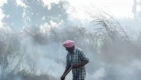 Stubble Burning: Can Delhi Turn a Challenge Into An Opportunity? 