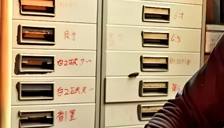 Bread, potatoes, even microplastics—Japanese designer turns everyday waste into electricity 