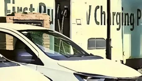 Delhi EV policy: Coordinating body key to effective implementation, flag RWAs’ body 