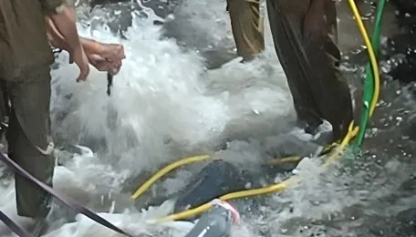 Mumbai Water Supply Faces Maintenance Disruption