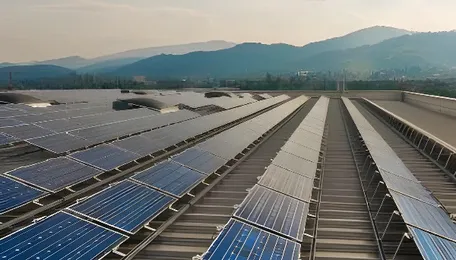 Top Five States for Rooftop Solar Installations in 2025 [Infographics]