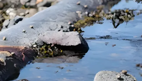 Centre Reviews Groundwater Safety Measures in Eastern UP