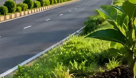 NHAI Sets Plantation and Survival Norms for Highway Completion 