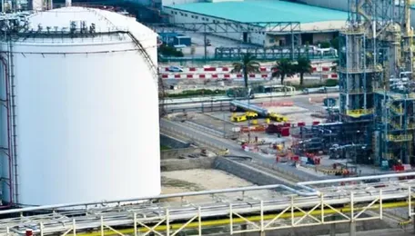 'Very grim': Singapore, regional petrochem sector could see more force majeure notices; EDB in contact with players 