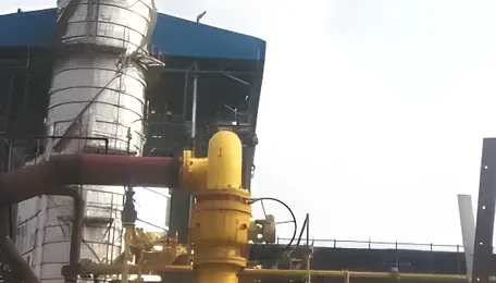 Gulf crisis: GAIL halts gas supply to Yelahanka power plant; generation may be hit 