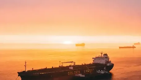 The Strait That Didn’t Break India: How a Decade of Preparation Defied the Hormuz Crisis 
