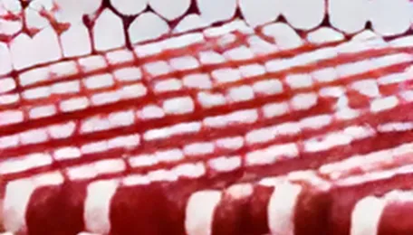 US lifts sanctions on some Iranian oil as energy prices soar