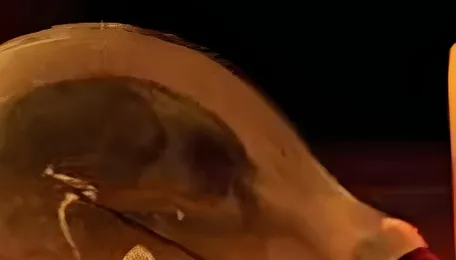 KPDCL announces power shutdown 