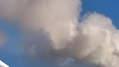 Global coal markets at a crossroads: demand softens as renewables rise 