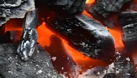 India power demand seen rising 5% on higher cooling needs, coal reliance 