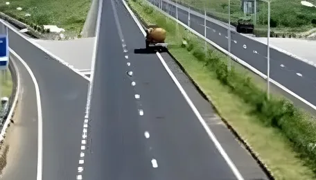 Highways, green railways driving India’s connectivity and growth: Chowna Mein - The Sentinel 