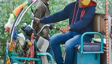 India on e-wheels: Assam and Tripura show why a bigger EV number is not always a deeper mobility transition 