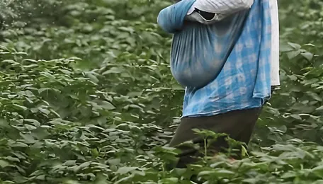 Budget 2026: Micro-fertiliser industry seeks uniform 5% GST, faster credit refunds from Sitharaman and Co 