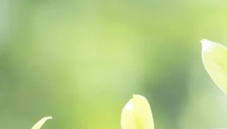 Key loans powering India's green energy revolution 