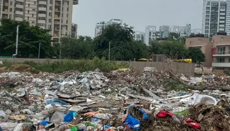 Gurugram Southern Peripheral Road garbage piles persist