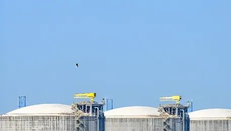 Netherlands Pushes to Scrap EU Gas Storage Mandate After $1.14 Billion Bill