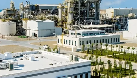 Turkmenistan, India Discuss Fertilizer Production Cooperation 