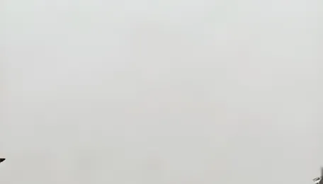 IAF aircraft makes historic trial landing at Moran highway strip in Assam | Video 