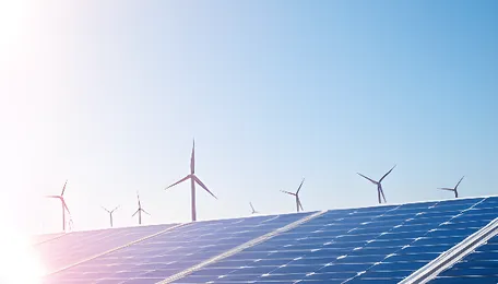 ACME Solar Signs 450 MW FDRE Power Purchase Agreements With SJVN At ₹6.74 Tariff