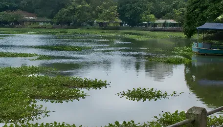 Akkulam Lake Restoration Returns to ₹185-Crore Plan After Tender Failure
