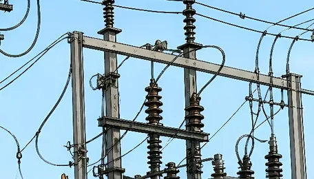 Sacked, power operator pulls the plug on several villages, climbs pole in protest 