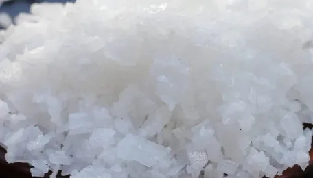 Caustic Soda prices hold firm across Asia amid balanced market trends 