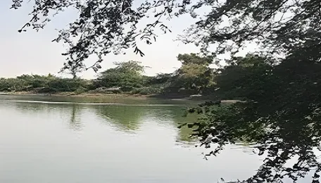 Rajasthan Invests In Waterbody Renovation For Resilience