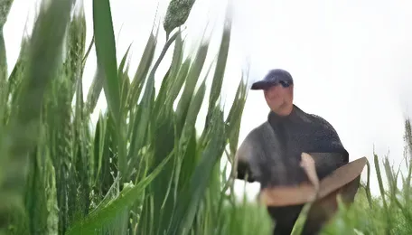 US-Venezuela move may ease fertilizer costs 