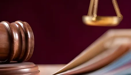 Consumer panel quashes Rs 2.19-Lakh power bill to Jalandhar NRI 