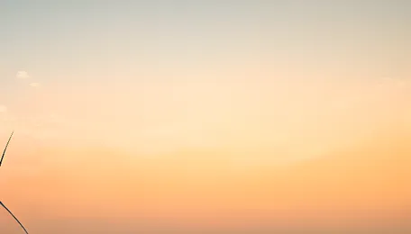 GACL Partners With CleanMax For 160 MW Wind-Solar Hybrid Renewable Energy Project In Gujarat 