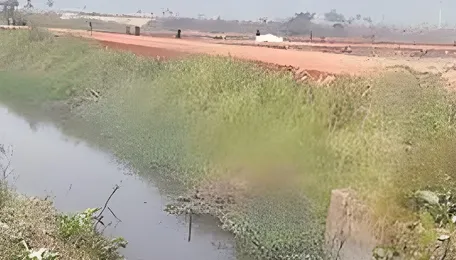 Chemical contamination in GPLIS Canal kills fish, alarms farmers 