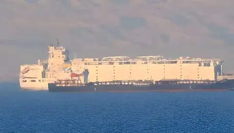 Ships continue Red Sea transit despite attacks and Houthi blockade, reports NYT