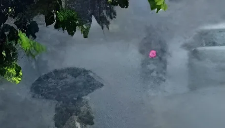 Pune July Rainfall Sets Historic Weather Benchmark