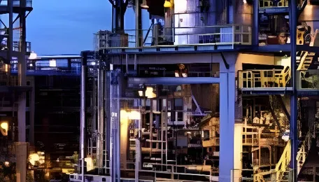 CCEA approves feedstock subsidy of Rs 4,600 crore to BCPL 