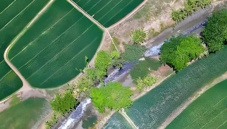 Surat Land Deal Signals Industrial Real Estate Shift