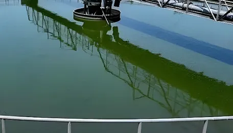 Maharashtra Government Launches Comprehensive Policy To Promote Reuse Of Treated Wastewater Statewide