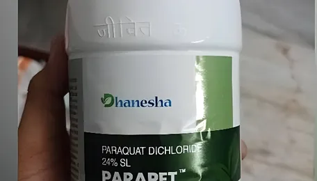 India bans Paraquat Dichloride, one of the world’s most toxic herbicides 