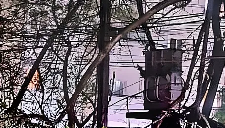 Telangana Monsoon | Electricity Dept staff directed to patrol areas with good tree cover as branches falling on power lines disrupt supply 