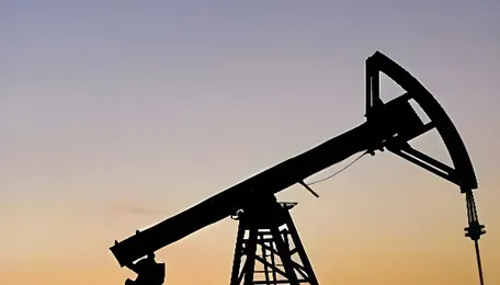 Oil marketing companies impose restrictions on domestic gas consumers and suppliers 