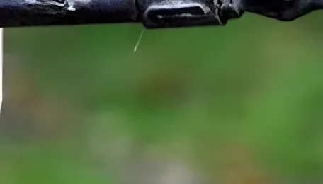 Pune Water Supply Disruption Hits Kothrud Warje