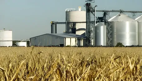 Ethanol should be a cheaper fuel. So why isn't E20 priced lower than pure petrol? Here's what the government says