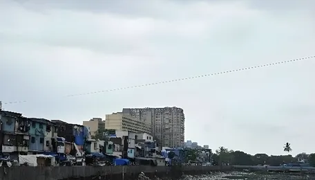 Mumbai Mithi River Shapes Monsoon Flood Strategy