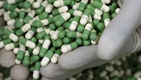 Indian chemical sector’s aspirations will face roadblocks 