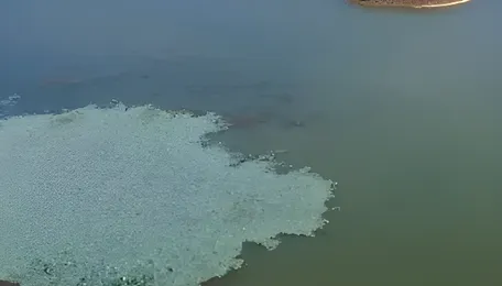 Bengaluru Lake Revival Expands Urban Ecological Restoration