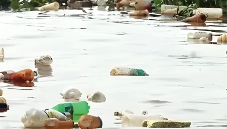 Kerala NGT orders Kadambrayar pollution penalty