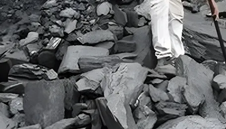 Coking coal market poised to be volatile in the short-term on China mine mishap, steel output dip