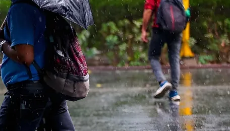 Karnataka Rain Forecast Signals Uneven Monsoon Week
