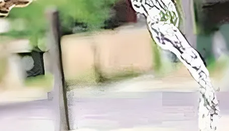 Chandigarh Drinking Water Complaints Raise Urban Utility Questions